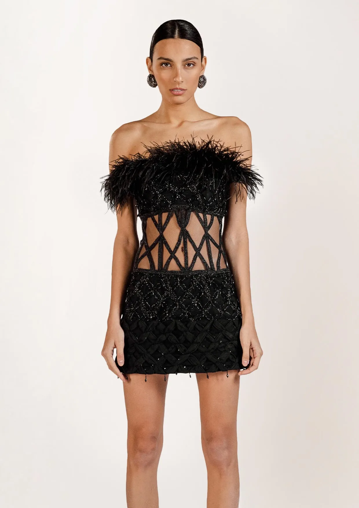 Mona Feathered Sheer Mini Dress